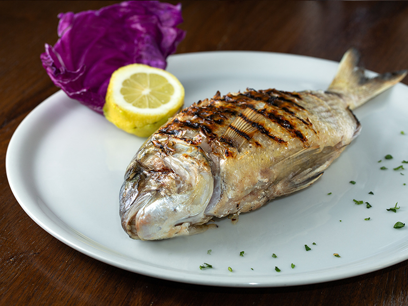 Grilled Sarago fish